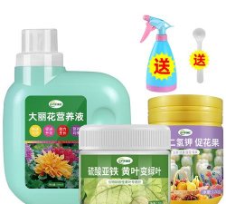 家庭养花用生根粉