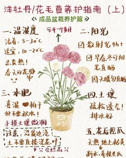 家庭养花用生根粉