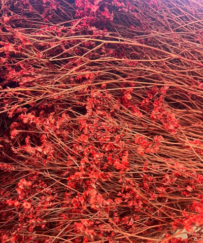 红色水晶草配什么花