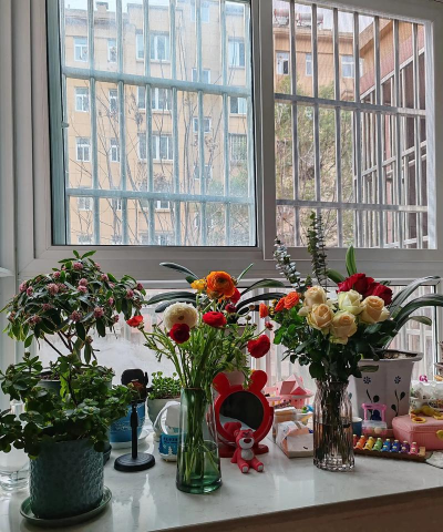 家庭养花用生根粉