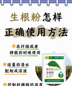 家庭养花用生根粉