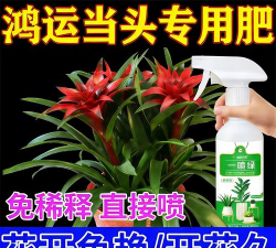 家庭养花用生根粉