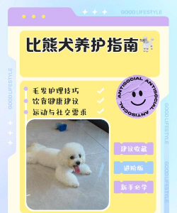 庭院景观绿化设计，打造舒适空间，提升生活品质