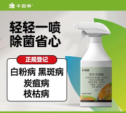 家庭养花用生根粉