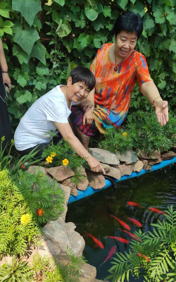 家庭养花用生根粉