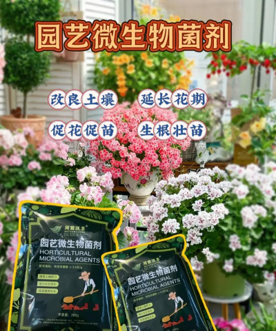 家庭养花用生根粉