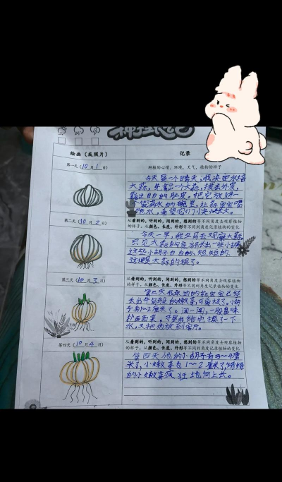 大蒜什么时候传入的