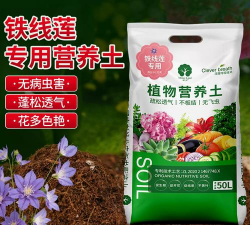 家庭养花用生根粉