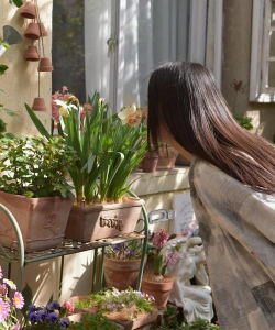 家庭养花用生根粉