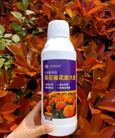 菊花肥料用什么好 菊花肥料用什么好