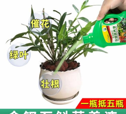 家庭养花用生根粉