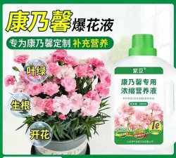 家庭养花用生根粉