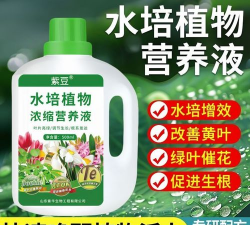 家庭养花用生根粉