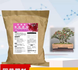 无刺枸骨用什么肥料