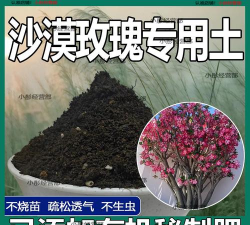 家庭养花用生根粉