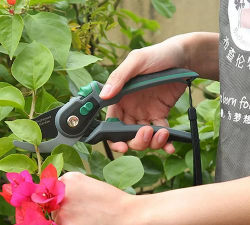 养花剪养花铲