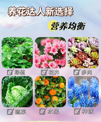 家庭养花用生根粉