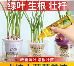 家庭养花用生根粉