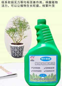 家庭养花用生根粉