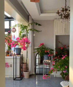 绿化景观设计，提升环境品质，创造宜人空间