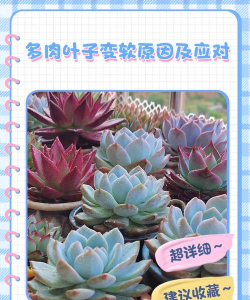 绿化景观设计，提升环境品质，创造宜人空间