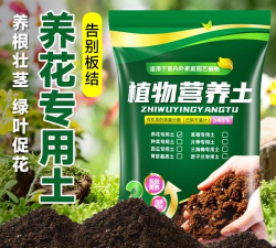 家庭养花用生根粉