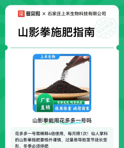 家庭养花用生根粉