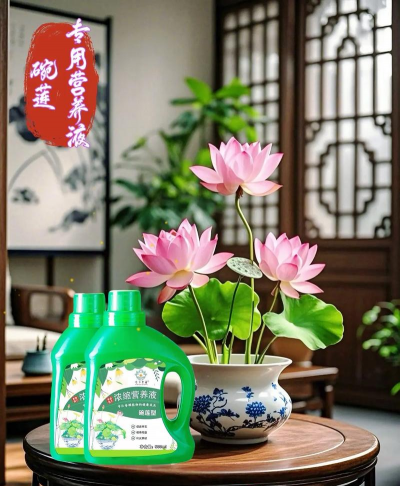 家庭养花用生根粉