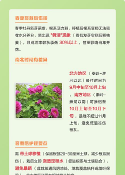 牡丹什么时候移栽合适