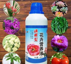 家庭养花用生根粉