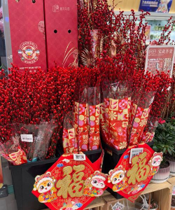 过春节家里买什么花