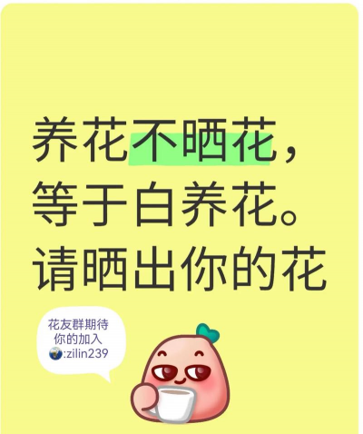 养花不下花等于白养花