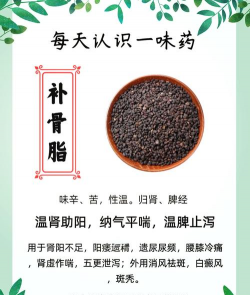 补骨脂的栽培技术