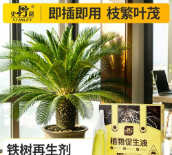 家庭养花用生根粉