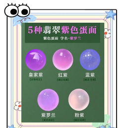 紫罗兰类别是什么