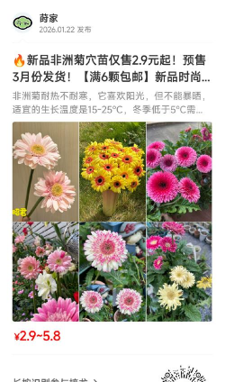 家庭养花用生根粉