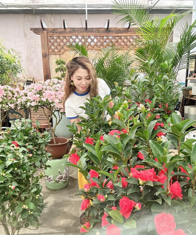 家庭养花用生根粉