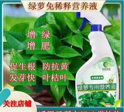 家庭养花用生根粉