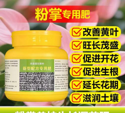 家庭养花用生根粉