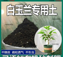 家庭养花用生根粉