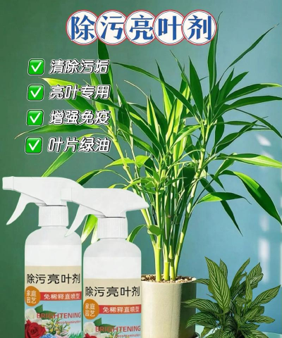 家庭养花用生根粉