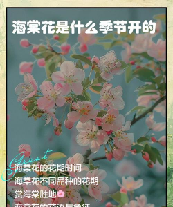 春花为什么夏天开花