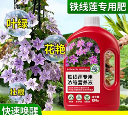 家庭养花用生根粉