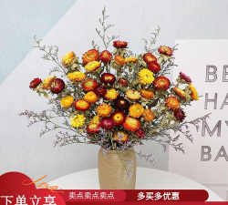 云南干花批发怎么批发