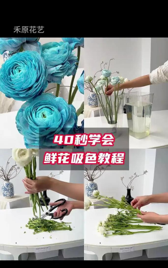 家庭养花用生根粉