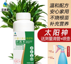 家庭养花用生根粉