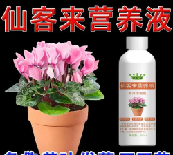 家庭养花用生根粉