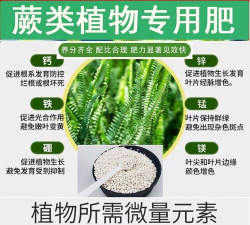 家庭养花用生根粉