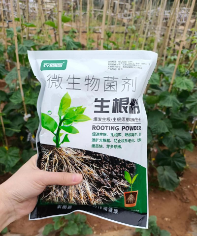 家庭养花用生根粉