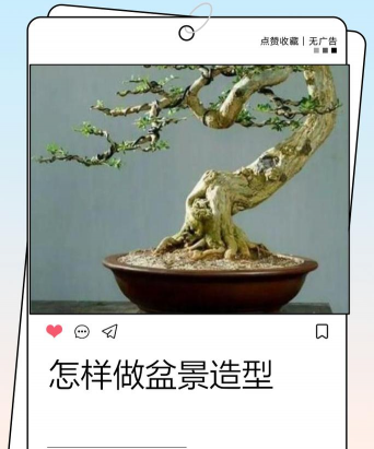 树桩如何制作盆景